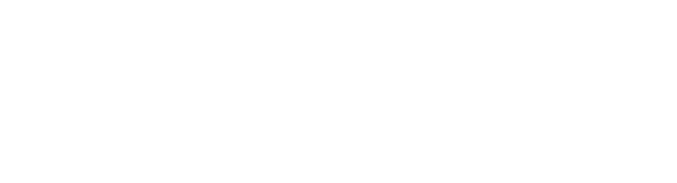 Netvigie Logo